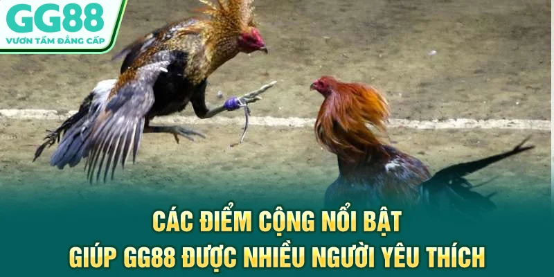 Các điểm cộng nổi bật giúp GG88 được nhiều người yêu thích