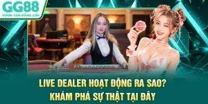 Live Dealer Hoạt Động Ra Sao? Khám Phá Sự Thật Tại Đây