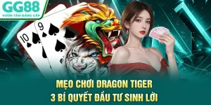 Mẹo Chơi Dragon Tiger - 3 Bí Quyết Đầu Tư Sinh Lời