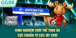 Kinh Nghiệm Chơi Thể Thao Ảo Cực Chuẩn Từ Các Tay Chơi